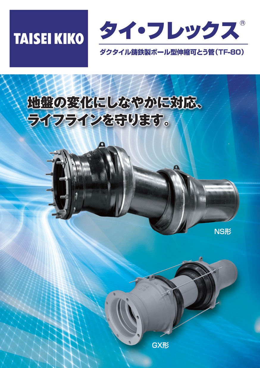 11 タイ・フレックス